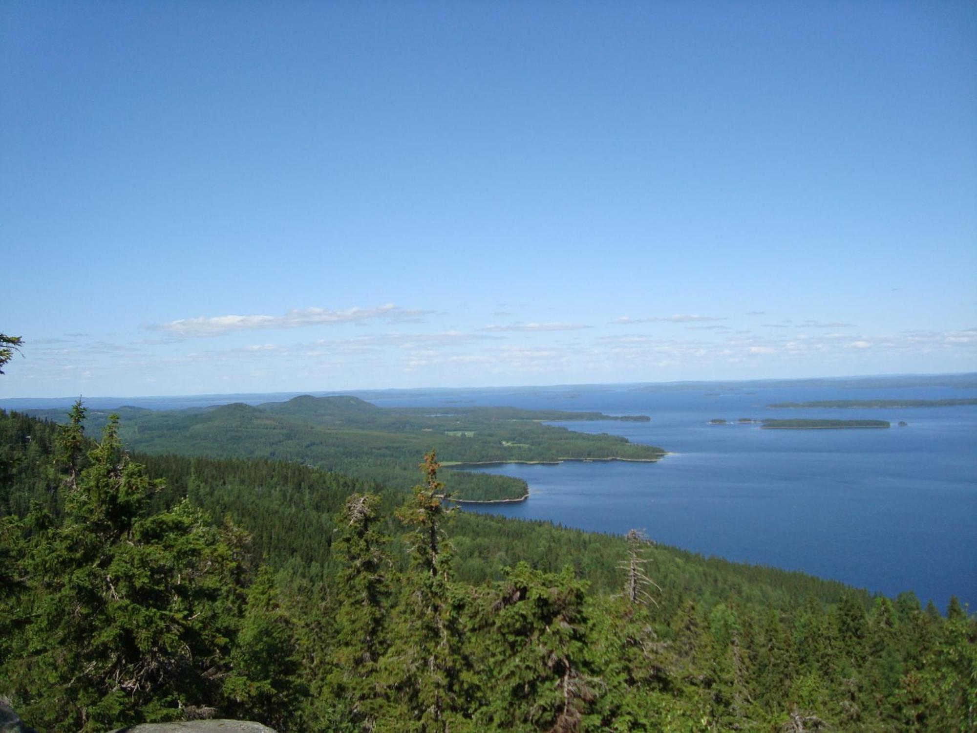 Koli Freetime Cottages Ahmovaara Oda fotoğraf